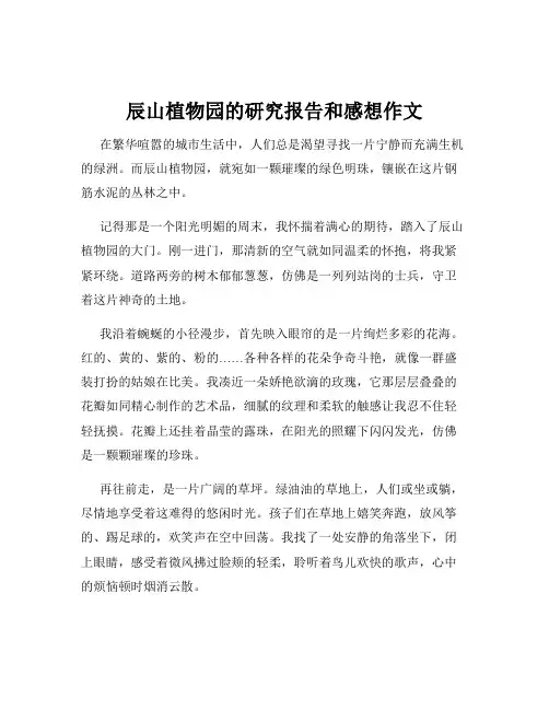 辰山植物园的研究报告和感想作文