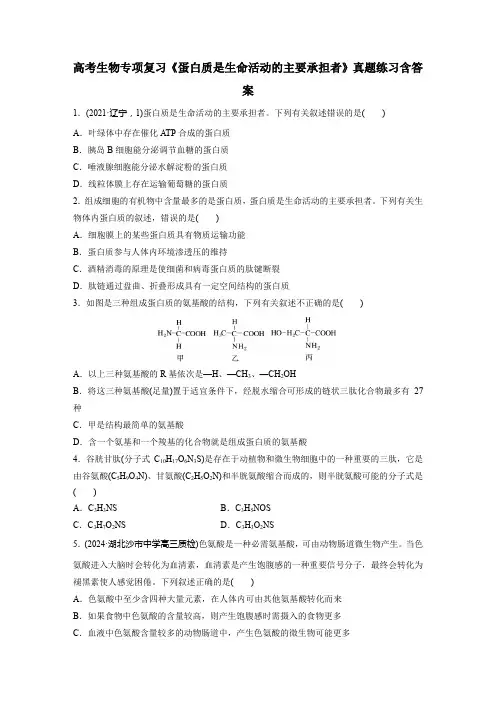 高考生物专项复习《蛋白质是生命活动的主要承担者》真题练习含答案