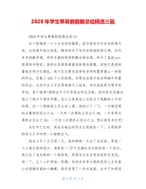 2020年学生寒暑假假期总结精选三篇