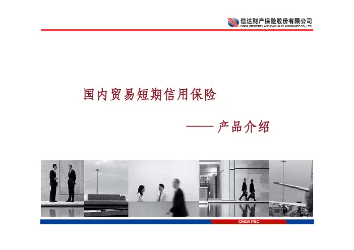 国内贸易信用险基本介绍PPT(for内部培训)