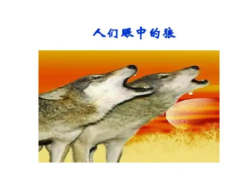 人们眼中的狼
