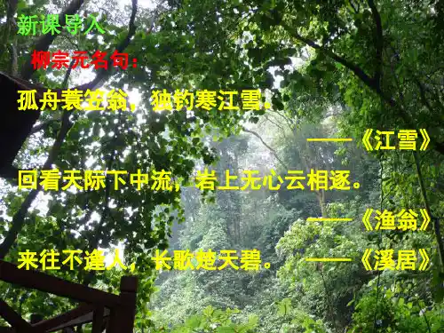 人教版八年级《语文》下册《小石潭记》课件