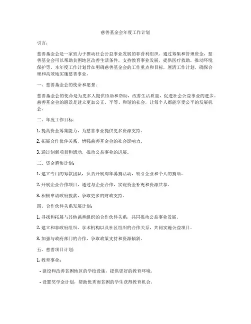 慈善基金会年度工作计划