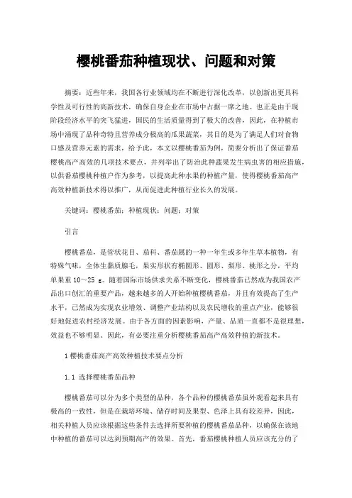 樱桃番茄种植现状、问题和对策