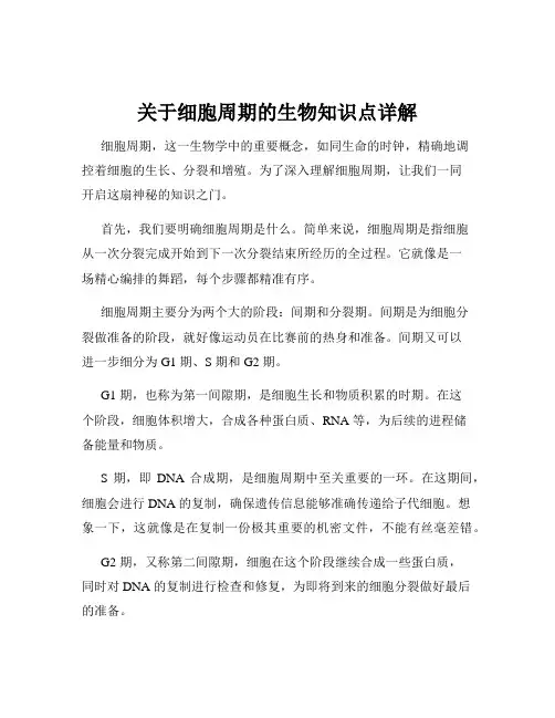 关于细胞周期的生物知识点详解