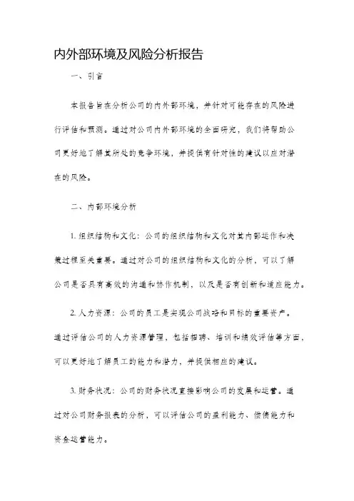 内外部环境及风险分析报告