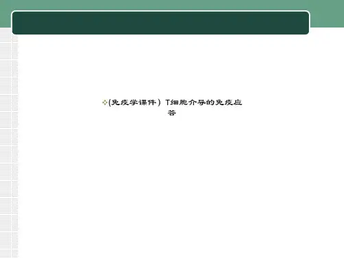 (免疫学课件)T细胞介导的免疫应答