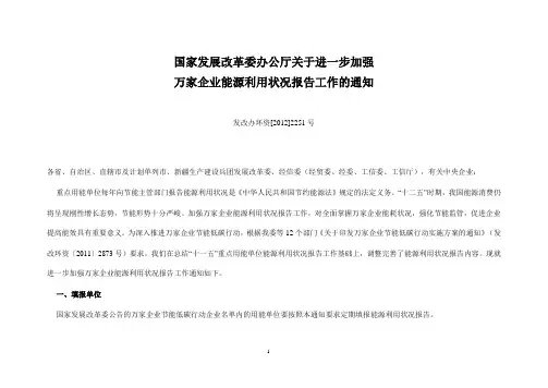 国家发展改革委办公厅关于进一步加强
