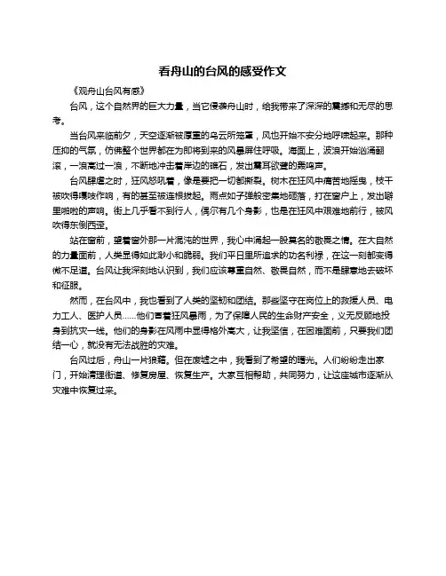 看舟山的台风的感受作文