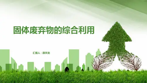 固体废弃物的综合利用