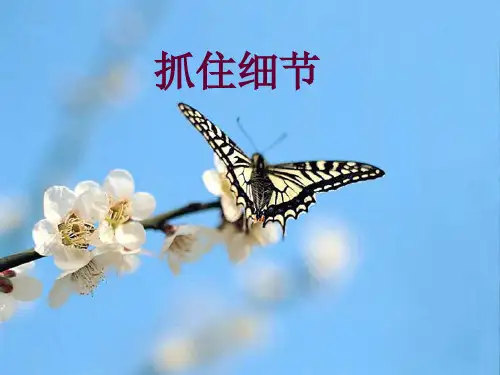 作文指导：抓住细节