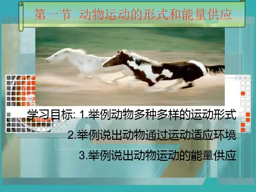 苏教版八上17.1《动物运动的形式和能量供应》ppt课件 (共12张PPT)