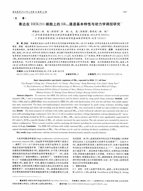 表达在HEK293细胞上的BKca通道基本特性与动力学调控研究