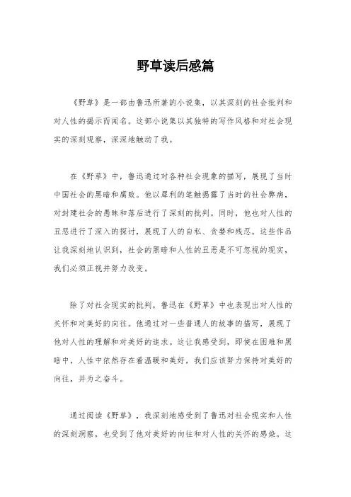 野草读后感篇