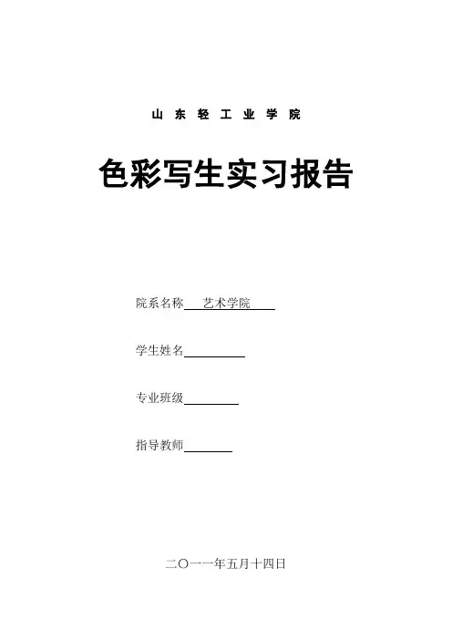 色彩写生报告