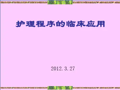 护理程序的临床应用