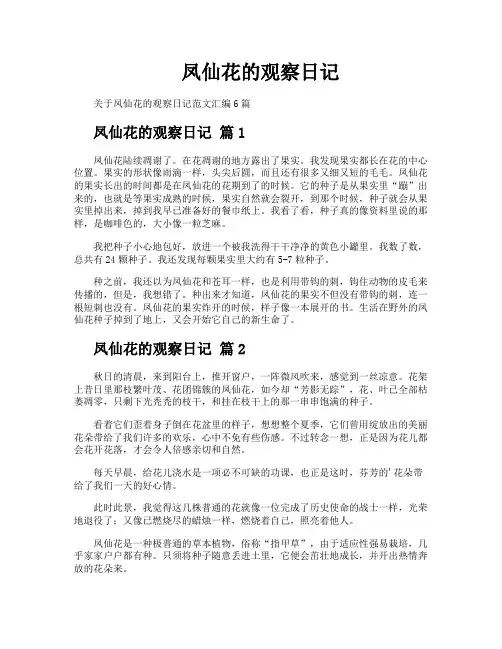 凤仙花的观察日记