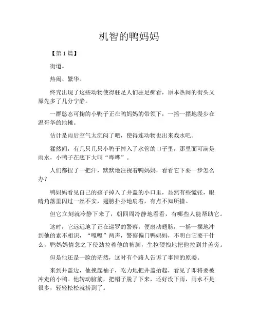 机智的鸭妈妈