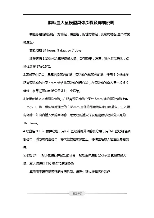 脑缺血大鼠模型具体步骤及详细说明