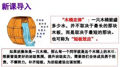 8.2 我与集体共成长 课件(26张PPT)-2023-2024学年统编版道德与法治七年级下册