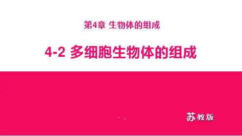 《多细胞生物体的组成》PPT