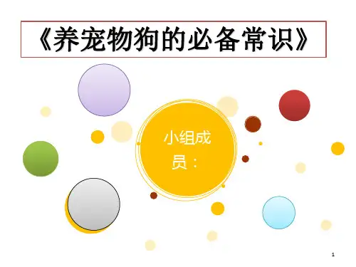 《养宠物狗的必备常识》PPT课件