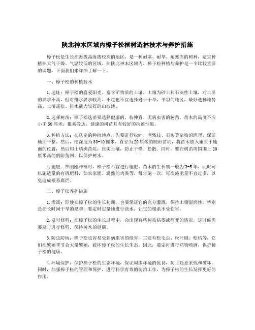 陕北神木区域内樟子松植树造林技术与养护措施