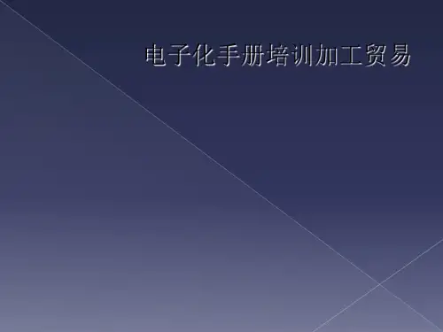 电子化手册培训加工贸易