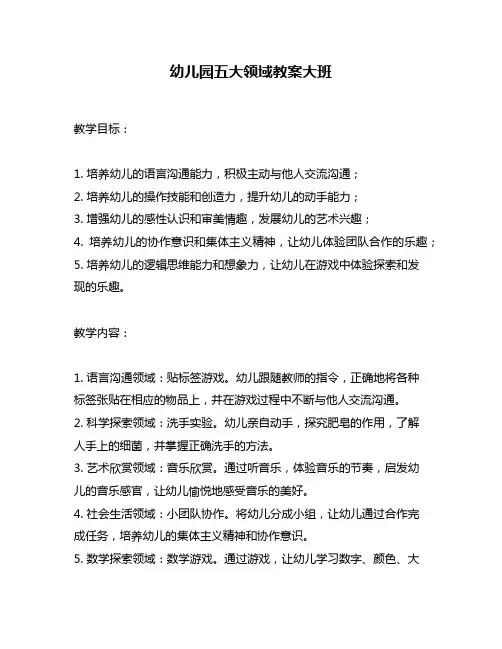 幼儿园五大领域教案大班