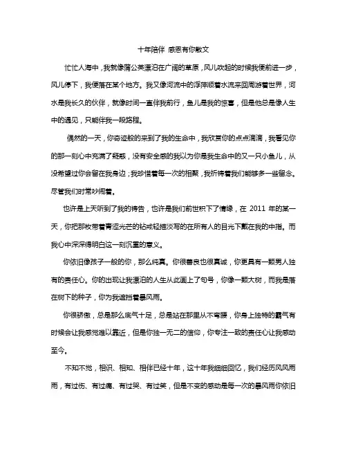 十年陪伴 感恩有你散文