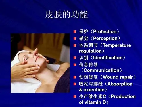 皮肤及其衍生物