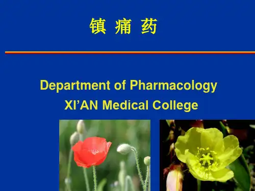 镇痛药(本)