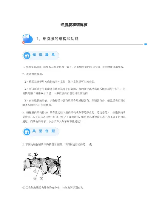 细胞膜和细胞核