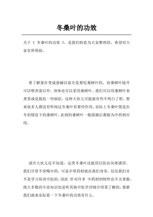 冬桑叶的功效