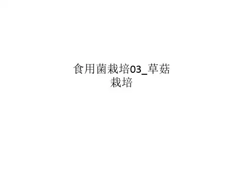 食用菌栽培03_草菇栽培
