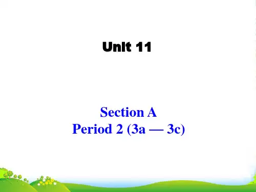 人教英语九年级全一册 Unit11 Section A 3a—3c (共23张)-课件