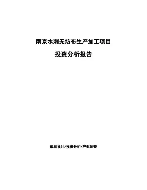 南京水刺无纺布生产加工项目投资分析报告