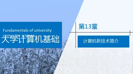 大学计算机基础 第13章 计算机新技术简介