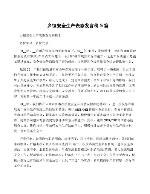 乡镇安全生产表态发言稿5篇