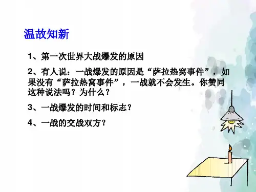 华师大版-历史-九年级下-《第一次世界大战的进程及结果》参考课件2