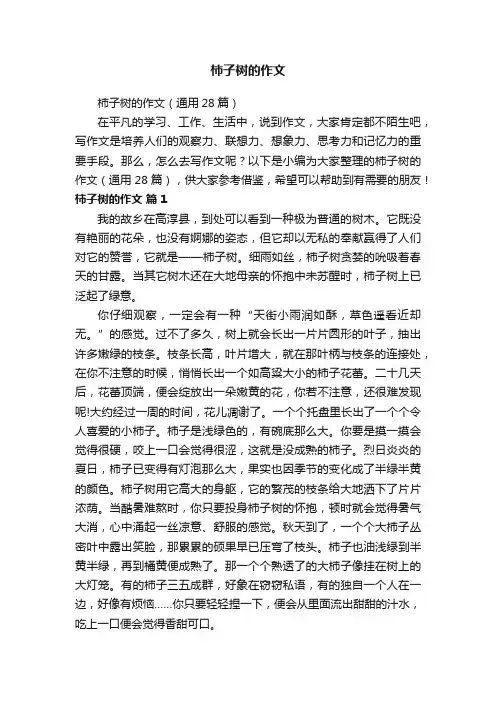 柿子树的作文