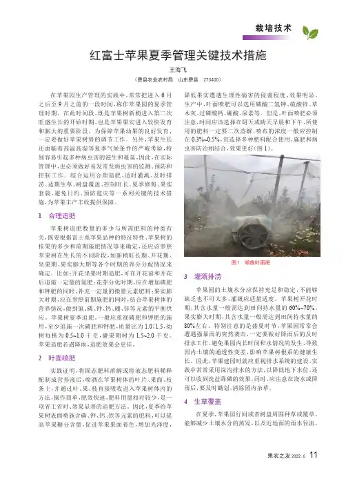 红富士苹果夏季管理关键技术措施