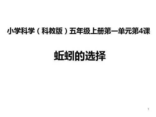 科学五年级上教科版精品课件蚯蚓的选择