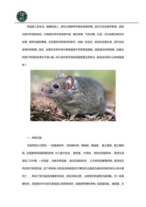 农贸市场该如何灭鼠
