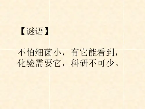 高倍显微镜的使用方法