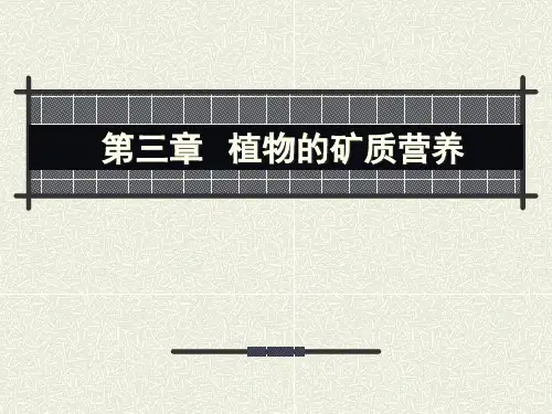 植物生理学03矿质营养