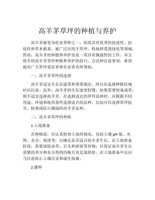 高羊茅草坪的种植与养护