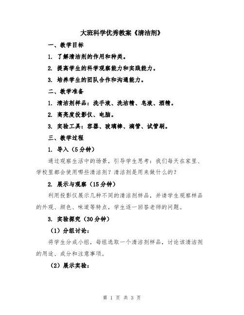 大班科学优秀教案《清洁剂》