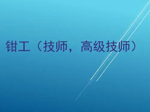 钳工(技师,高级技师)