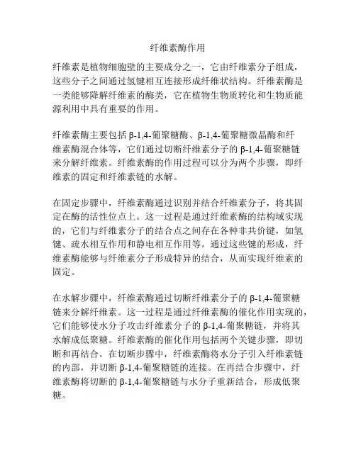 纤维素酶作用